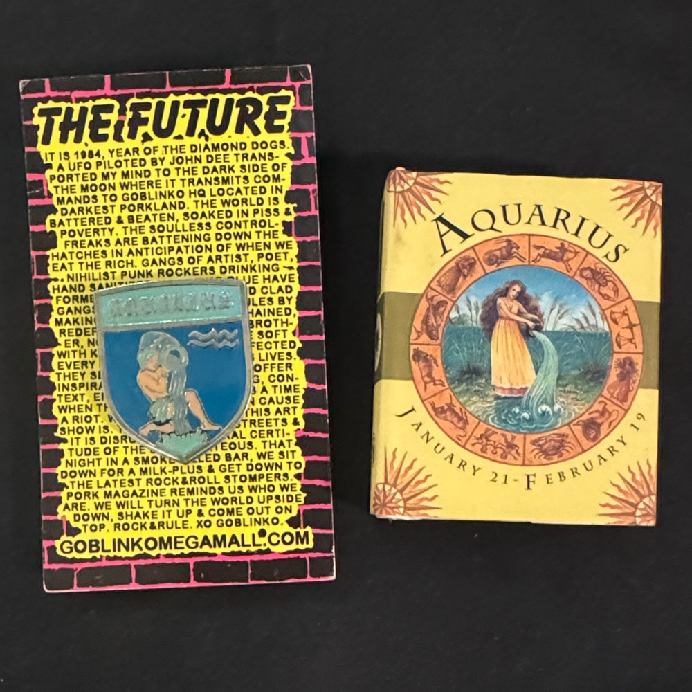 Aquarius pin and minni book
